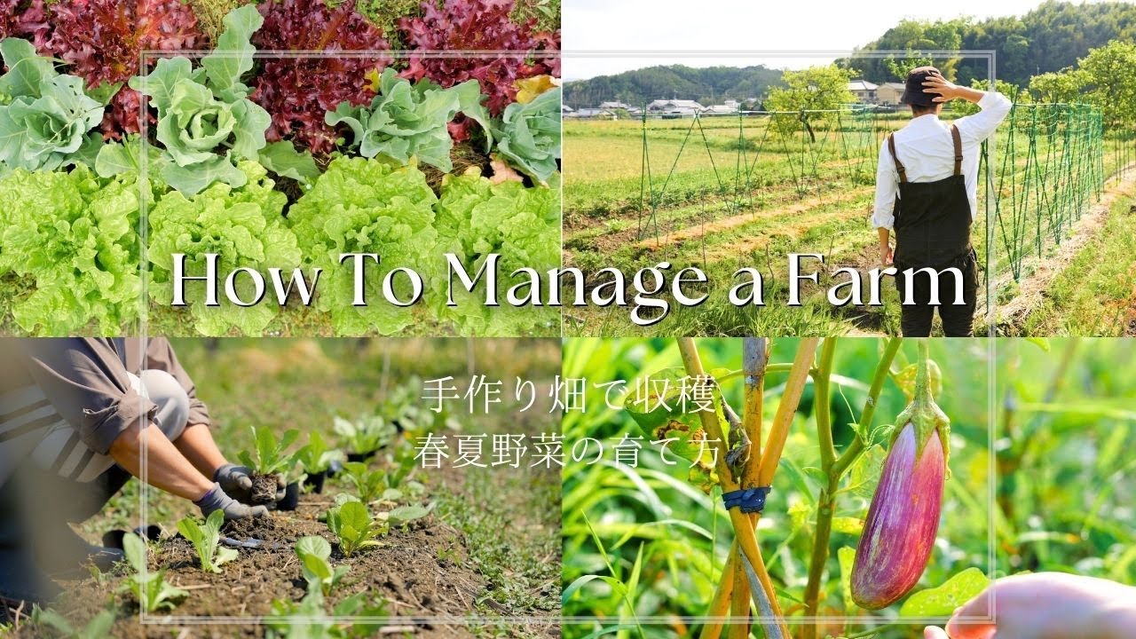 【田舎暮らし】手作り畑で栽培から収穫までの様子 | 春夏野菜を手作りぼかし肥料で無農薬栽培 | 自然農法と有機農法 | モグラ対策