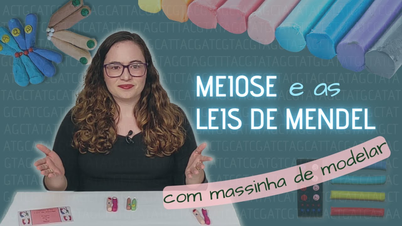 MEIOSE e as LEIS DE MENDEL com massinha de modelar