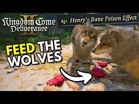 How to Get Rid of Wolves Without Fighting - Kingdom Come Deliverance 2