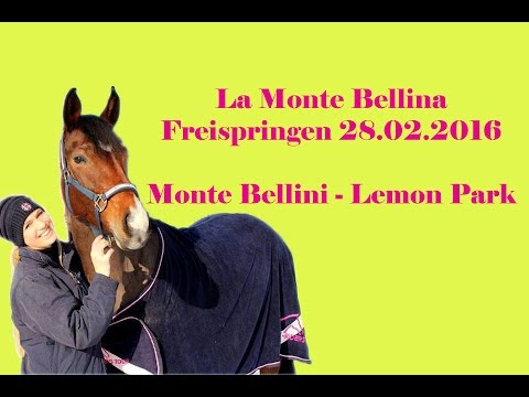 La Monte Bellina Freispringen I 28.02.2016 I 7 Jähr. Hannoveraner Stute Monte Bellini - Lemon Park