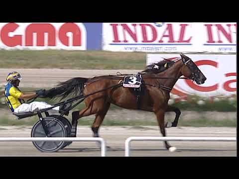 Napoli Trotto 08/09/2023 - 2ª corsa