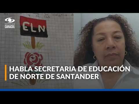 Tarea escolar sobre dibujos de ELN y Farc desata polémica en el país: ¿qué se sabe?