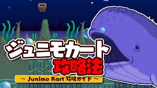 スタバレで一番難易度が高い「ジュニモカート」をクリアする方法【Stardew Valley /スターデューバレー】
