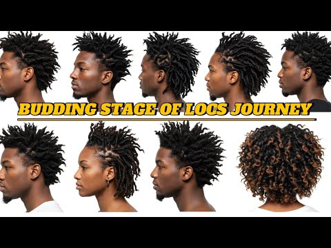 Dreads Budding Stage