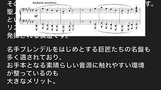 Download lagu 【ピアノ】ツェルニー40番から挑む大曲:リスト「伝説」第2曲が、難しすぎないのにステージ映えする理由 mp3 Download lagu 【ピアノ】ツェルニー40番から挑む大曲:リスト「伝説」第2曲が、難しすぎないのにステージ映えする理由 mp3