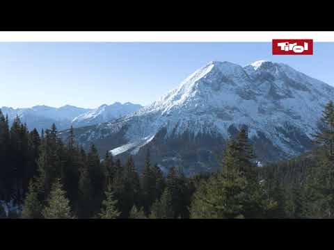 Olympiaregion Seefeld: Winterwandern auf dem Seefelder Plateau 🏔