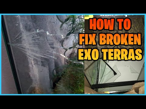 How to Fix a Broken Terrarium or aquarium!
