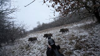 Drückjagd im Schneesturm - Jagd auf Sauen im Winter (Copterpro Jagd)