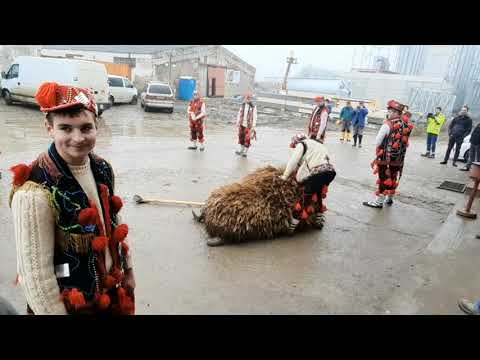 Am venit și cu ursul de la Bădeni scobinti