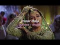 Maar Dala Slowed Reverb Devdas