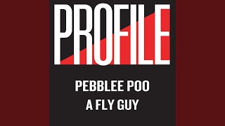 A Fly Guy