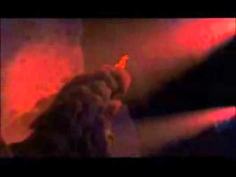 VGbb’s Video 33105893586 LZYKcs1zbXU