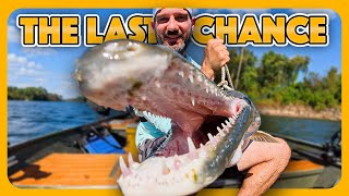This Is How You Catch alligator gar