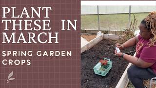 You Should Be Planting These Right Now| March Spring Garden Crops