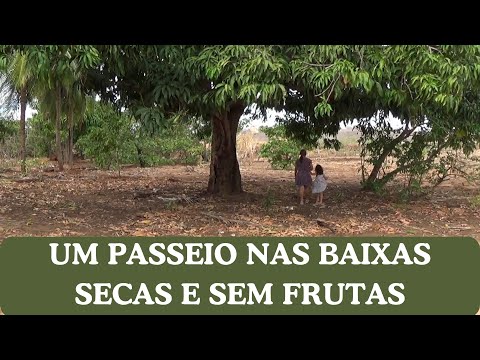 TRAVESSIA NAS BAIXAS SECAS: O VAZIO SEM FRUTOS - MONSENHOR TABOSA CE