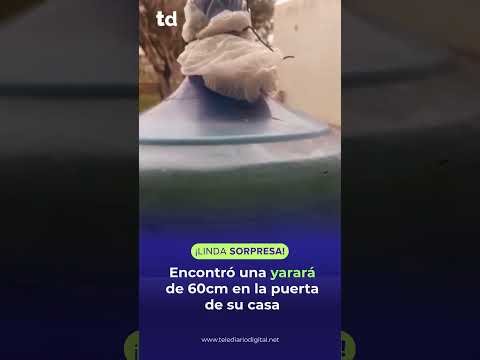 APARECIÓ UNA YARARÁ EN LA PUERTA DE SU CASA 🐍😱