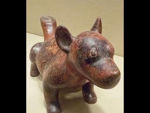 Colima dogs: Shaft tomb tradition from Western Mexico