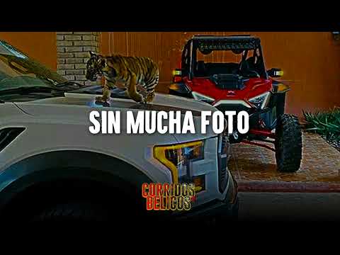 Grupo Clasificado, Grupo Marca Registrada - Sin Mucha Foto, Juan el de Culiacan  - MIX Exitos 2024