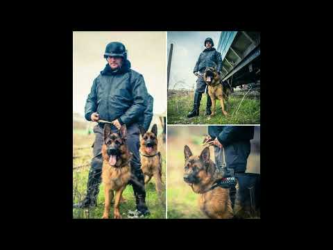 Recenzii Companii - One Star Security OSS - Feedback angajati