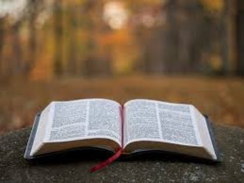 🔴LIVE Bible Study: Trusting God and Letting Go of Worry (Matthew 6:25-34)