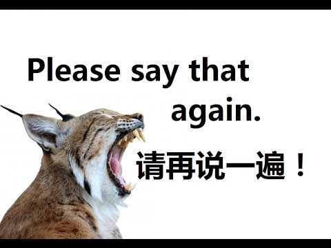7. Please say that again 请再说一遍 Chinese 101