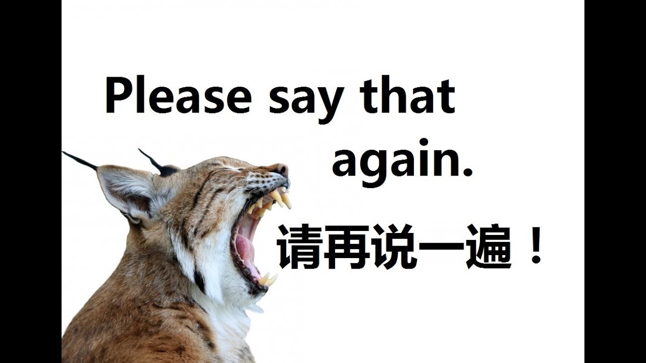 7. Please say that again 请再说一遍 Chinese 101