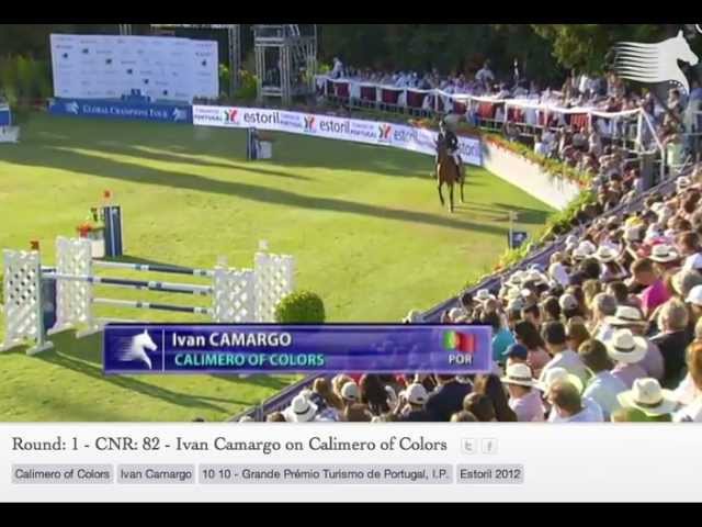 Half-brother of the mother of this implantend embryo is the Grand Prix CSI 1.60m horse Calimero of Colors with rider Ivan Camargo.