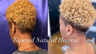 Natural Hairstyles For Women | Tapered Natural Haircut