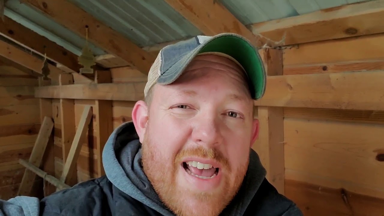 Using Deep Litter in the Chicken Coop