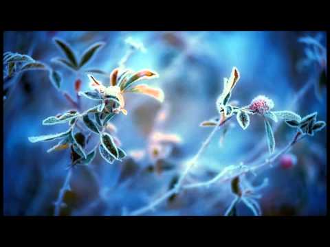 Andy Arias  - Right and Straight (Original Mix)