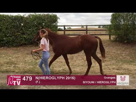 Arqana August Sale 2017 - Lot 479  - Haras des Granges