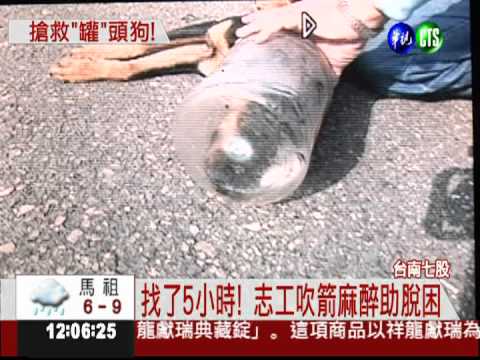 塑膠罐套頭難進食 搶救流浪狗