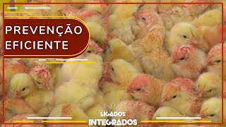 Miniatura do vídeo
