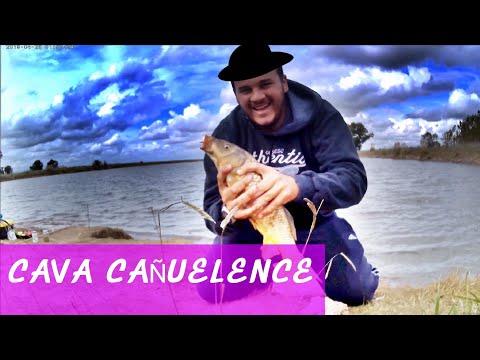 Pejerreys y carpas en Cava CAÑUELENCE / MJ-PESCA/ ruta 3 / aguas profundas