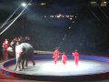 RINGLING BROS AND BARNUM BAILEY CIRCUS