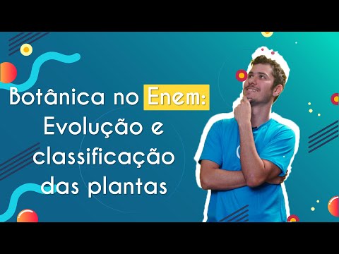 Botany in Enem: Evolution and Classification of Plants - Brasil Escola