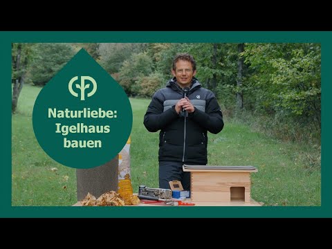 Wie bereiten sich Tiere auf den Winter vor? | Center Parcs-Naturliebe | Center Parcs