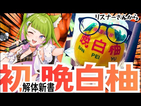 【手元実写】デカ！晩白柚って何！？どんな味すんの！？なにそれ？！めっちゃいい匂い！　#晩白柚