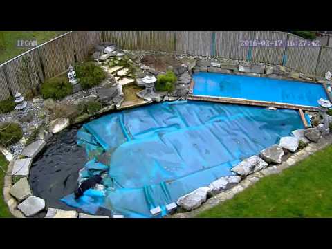 Vorsicht bei Teichabdeckungen!