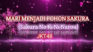 Download lagu Mari Menjadi Pohon Sakura/Sakura No Ki Ni Narou -JKT48 (lirik lagu) mp3