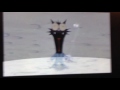 Simpsons Movie Scratchy S Death