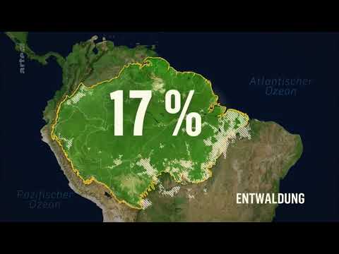 Video-Thumbnail von YouTube