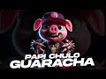 PAPI CHULO 💥 GUARACHA | 2024 Y A TI TE VA A ENCANTAR | DJ MORPHIUS PEDRO MEXA (Aleteo, Zapateo)