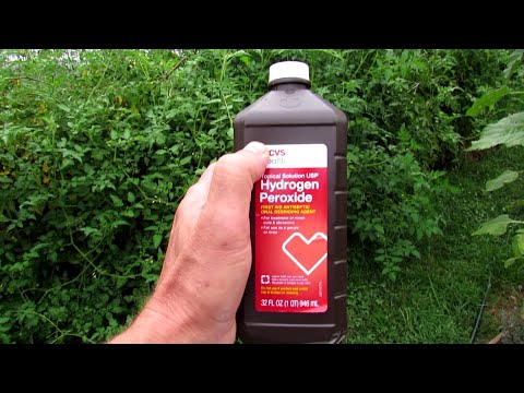 download lagu mp3 mp4 Rusted Garden Hydrogen Peroxide, download lagu Rusted Garden Hydrogen Peroxide gratis, unduh video klip Rusted Garden Hydrogen Peroxide