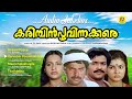 Karimbin Poovinakkare | Malayalam Movie Audio Jukebox | IV Sasi | Mammootty | Mohanlal | Seema