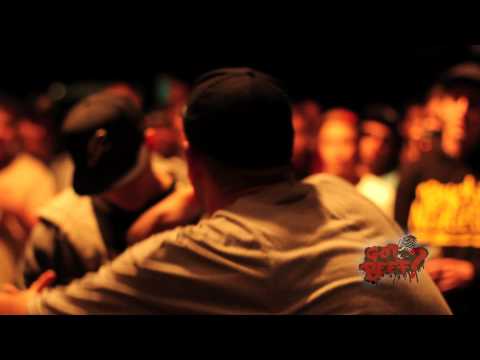 The Saurus vs Purpose