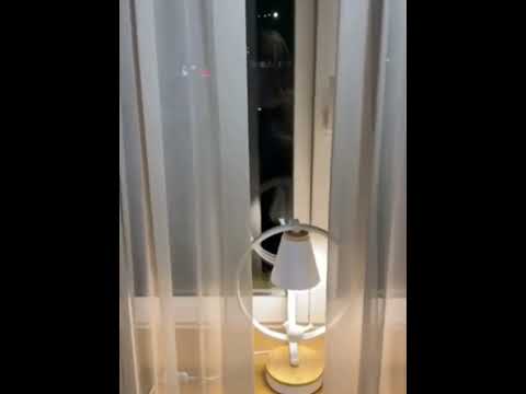 фото портьеры и тюль новые, шторы коллекция премиум 0