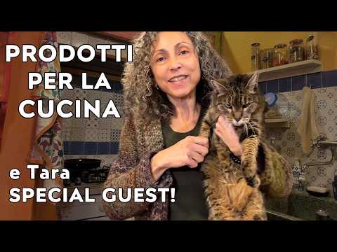 Gifts for the Home: Unboxing with the Cat!