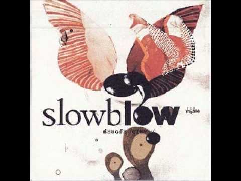 Slowblow - Cardboard Box