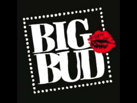 Plaetter Pi Michael Mic & Sha-Karl - 99 Prozent pt.2